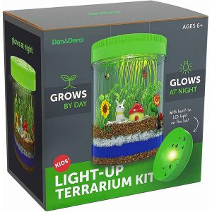 Light Up Terrarium Kit for Kids